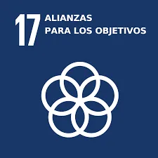 Livas desarrolo sotebible 17