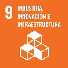 Livas desarrolo sotebible 9